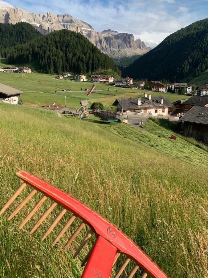 Agriturismo Maso Larciunei Selva di Val Gardena Dış mekan fotoğraf